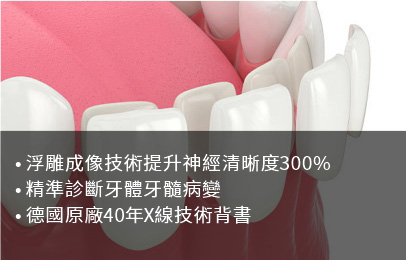 德國迪珥齒科牙片寶